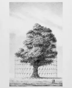 Vladimir Tomić Mosk – When Birds Sing, And You Can't Hear Them Then You've Gone Too Far This Time